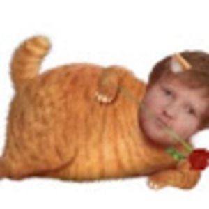 Meet your Posher, Clara